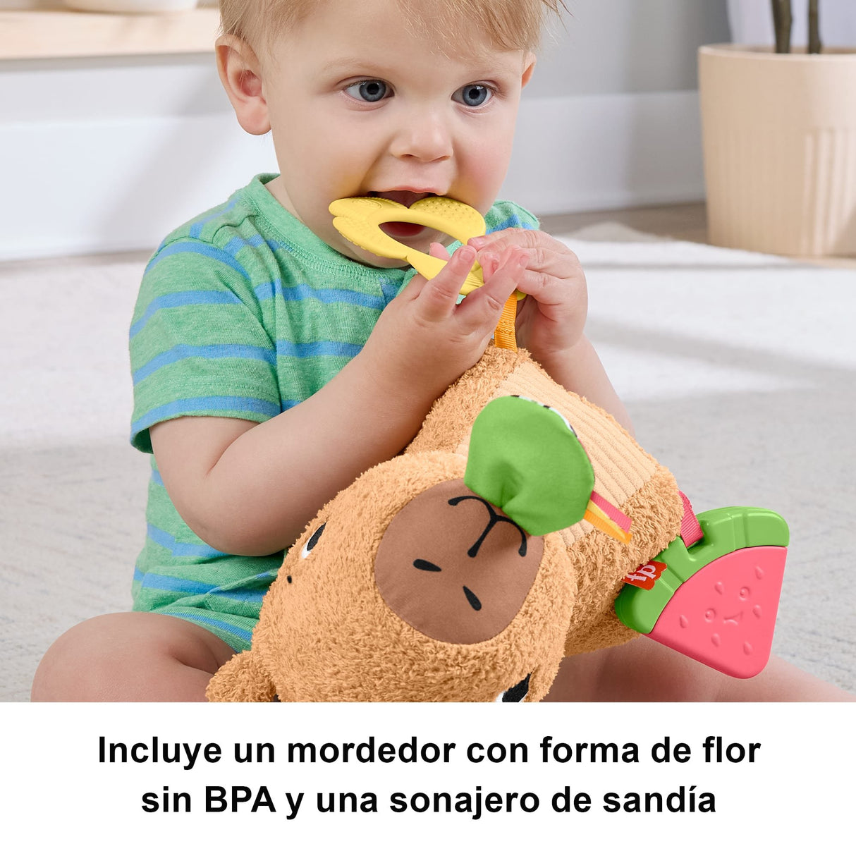 EAN 0194735254262 - Fisher-Price HYR54 juguete de peluche imagen 11