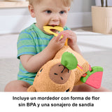 EAN 0194735254262 - Fisher-Price HYR54 juguete de peluche imagen 11