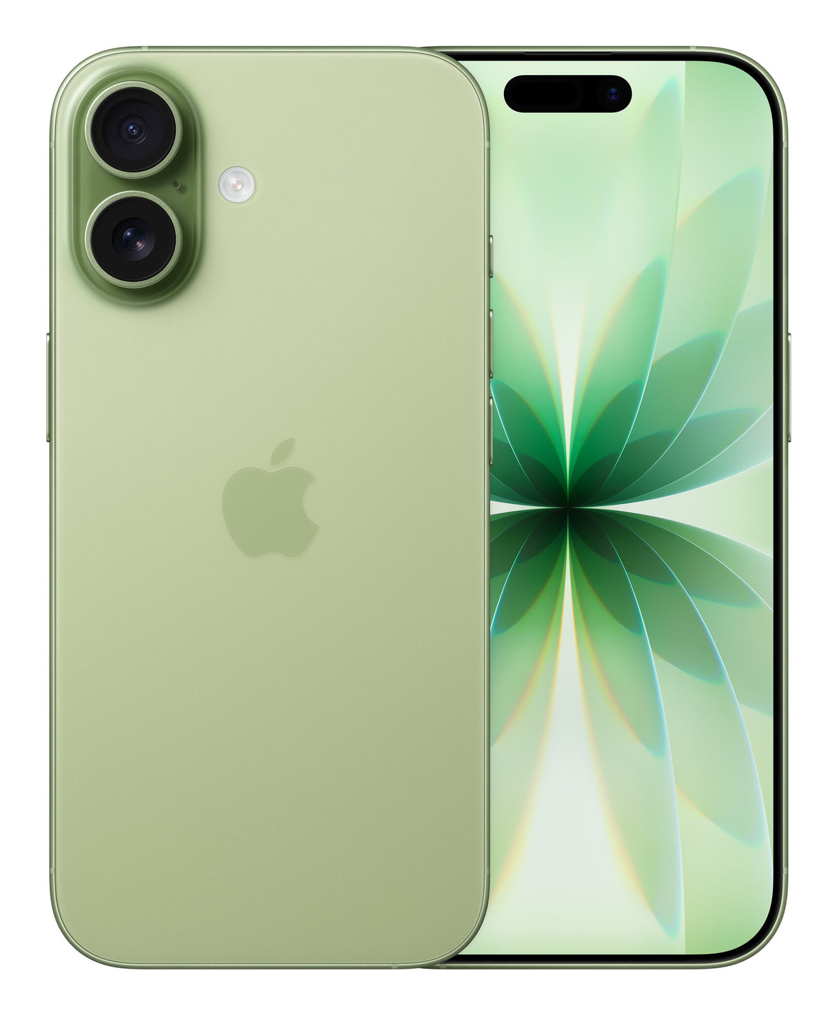 EAN 195950645309 - Apple iPhone 17 16 cm (6.3") SIM doble iOS 26 5G USB Tipo C 512 GB Salvia imagen 1