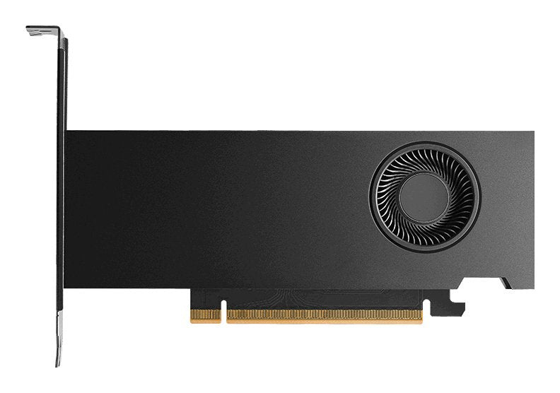 EAN 3536403404116 - PNY RTX PRO 2000 Blackwell NVIDIA 16 GB GDDR7 imagen 1