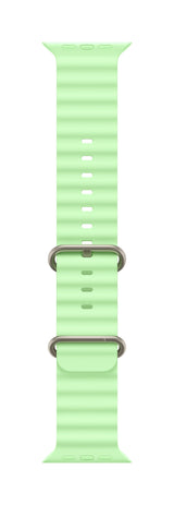 EAN 0195950648317 - Apple Natural Titanium Finish Grupo de rock Verde Fluoroelastómero, Titanio imagen 1