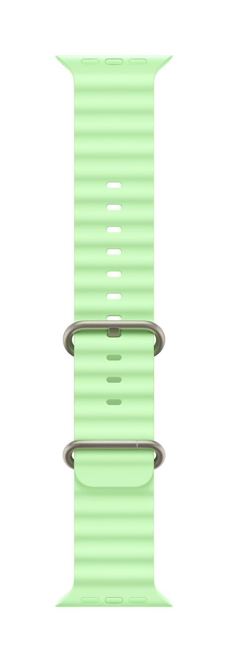EAN 0195950648317 - Apple Natural Titanium Finish Grupo de rock Verde Fluoroelastómero, Titanio imagen 1