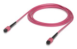 Indoor Om4 Multi-Mode Fiber  Patch Cable With Mpo-12 Type
