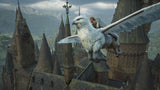 EAN 5051892254922 - Warner Bros Hogwarts Legacy De lujo Plurilingüe Nintendo Switch 2 imagen 3