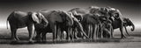 EAN 8005125398959 - Clementoni 39895 puzzle imagen 2