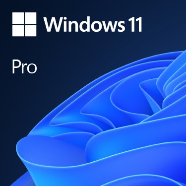 EAN 0889842905892 - Microsoft Windows 11 Pro 1 licencia(s) imagen 1