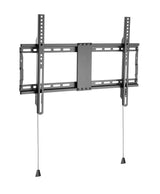 Basic Large Wall Mount (80  Pcs. Bulk)