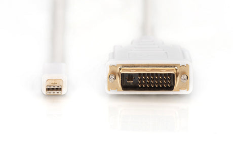 EAN 4016032291466 - Digitus AK-340305-020-W adaptador de cable de vídeo 2 m Mini DisplayPort DVI-D Blanco imagen 2