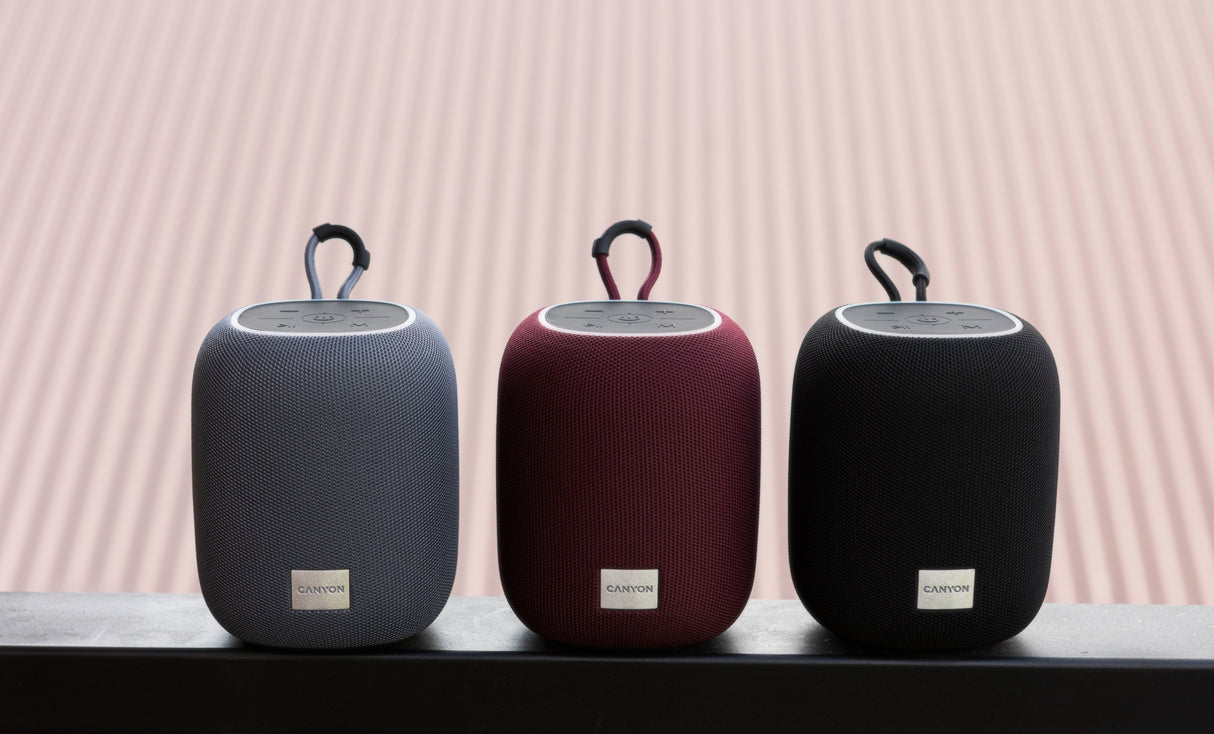 Canyon Bluetooth Speaker Bsp-8 Tf Reader Usb-C 10w Gris Retail