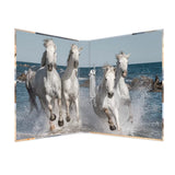 Herma Carpeta De Anillas A4 Caballos 2d