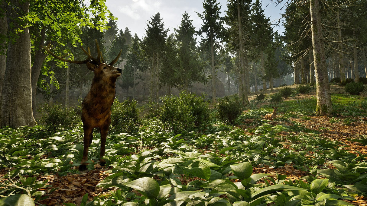 Juego Park Ranger Simulator Playstation 5