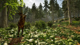 Juego Park Ranger Simulator Playstation 5