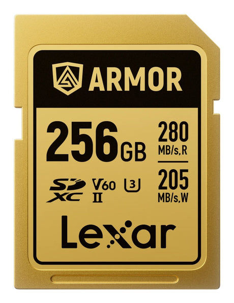 EAN 843367138579 - Lexar ARMOR GOLD 256 GB SDXC UHS-II imagen 1