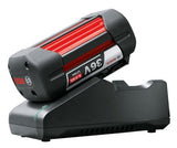 EAN 4059952627984 - Bosch GBA 36V 6.0Ah + AL 36V-20 Juego de cargador y baterías imagen 2