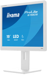 Monitor  Iiyama Prolite B1980s-W1 19" 1280 X 1024 Pixeles Svga Led Blanco