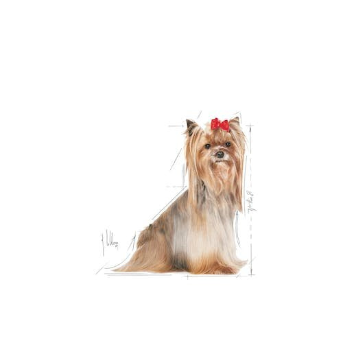 Royal Canin Yorkshire Terrier 8+ 1,5 Kg