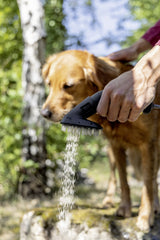 Kärcher Cepillo Para Lavar Pelos De Animales