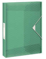 Esselte Carpeta De Proyectos Colour´Ice Capacidad Adicional A4 Polipropileno Verde Translúcido