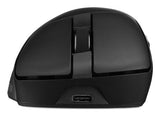 Asus Rog Gladius Iv Ace/Blk