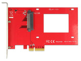 EAN 4043619894697 - DeLOCK 89469 tarjeta y adaptador de interfaz Interno U.2 imagen 3
