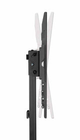 Manhattan Ultra Slim Tv-Soporte 32"-70" Hasta 40kg Base