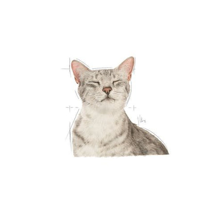 EAN 9003579018934 - Royal Canin SENSORY FEEL 85 g imagen 3