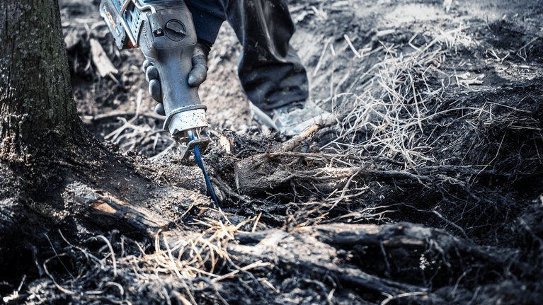 Bosch Hoja De Sierra De Sable Expert Â  Tough Woodâ   S 1142 Khm, 10 Piezas 2608900405