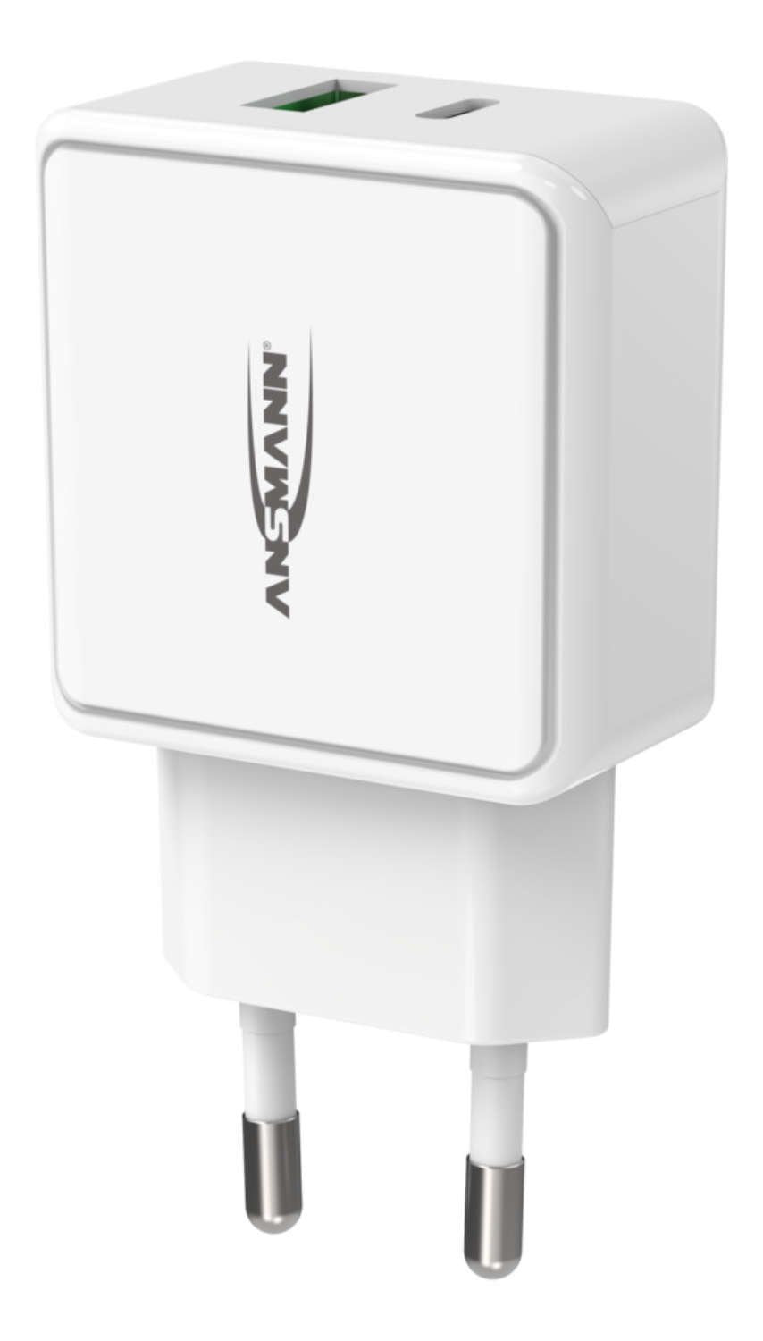 Cargador Doméstico Ansmann Hc218pd, Cargador 1001-0111