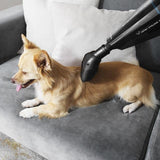 EAN 8435484054416 - Cecotec Conga Immortal Extreme Suction 22,2 Animal Hand aspiradora de mano Negro Sin bolsa imagen 14