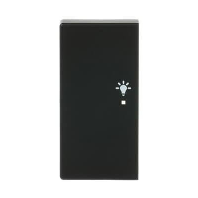 Busch Jaeger Tecla Basculante 6231-21-885 2x Luz Negro Mate