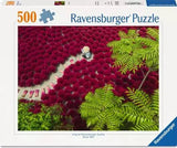 EAN 4005555017073 - Ravensburger Ein Meer aus Rot Puzzle rompecabezas 500 pieza(s) Arte imagen 1