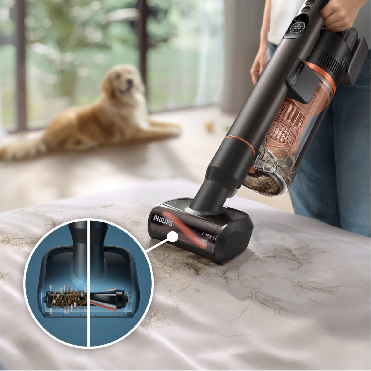 Philips Xc7163/01 Aspiradora De Pie Y Escoba Eléctrica Aspiradora Escoba 2 En 1 Batería Seca Y Húmeda Sin Bolsa 0,6 L Azul