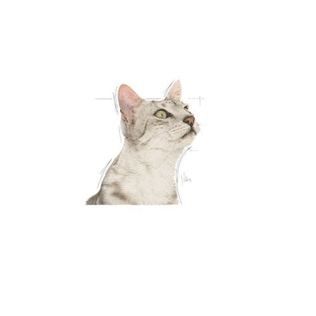 EAN 9003579018507 - Royal Canin SENSORY SMELL 85 g imagen 3