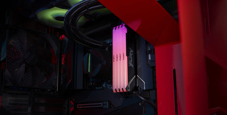 EAN 0740617337419 - Kingston Technology FURY Beast RGB módulo de memoria 2 x 16 GB 3600 MT/s imagen 5