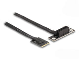 Delock 64217 Adaptador M.2 Clave A+E A Pcie X1 Nvme En Ángulo Con Cable De 20 Cm