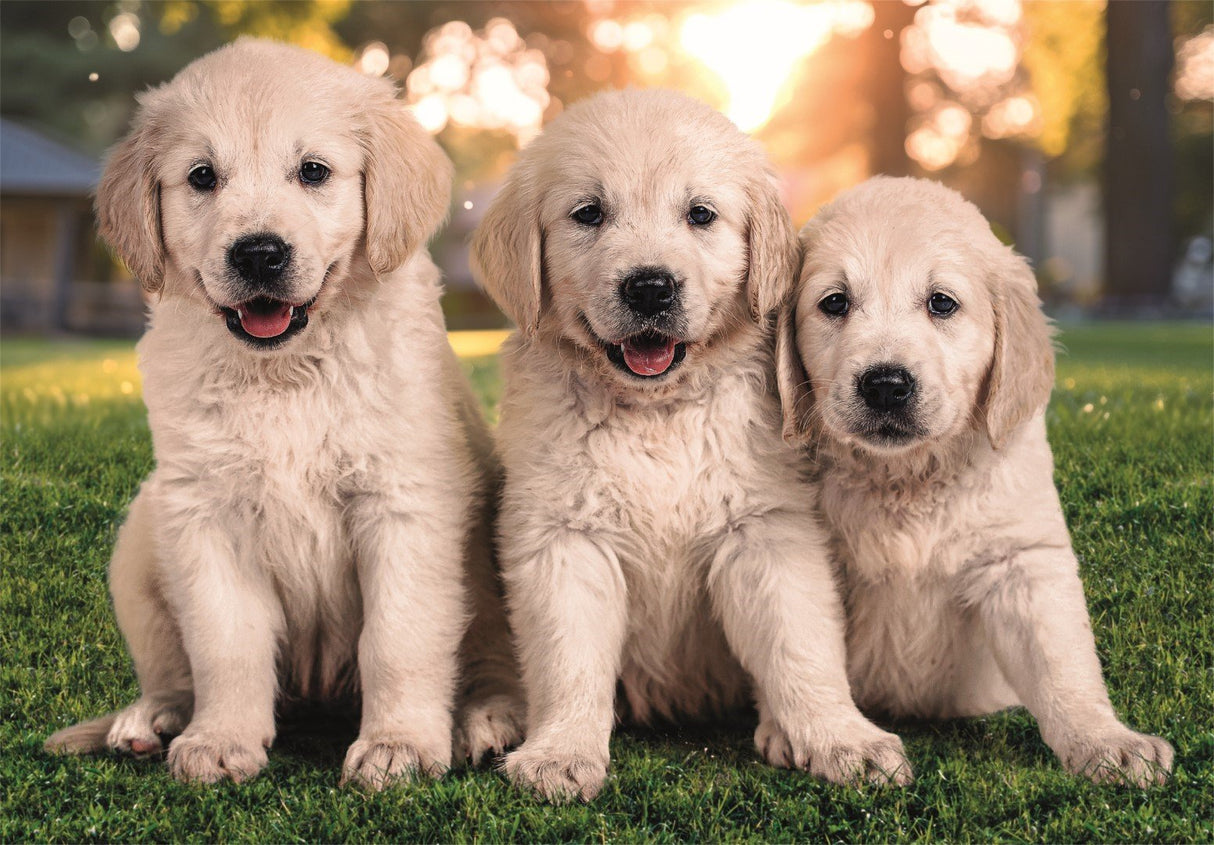 Puzzle Hermanos De Piel 2x60pzs