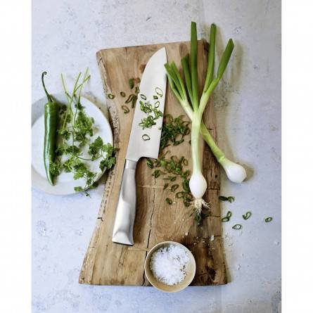 Cuchillo Para Filetear Wmf 16 Cm