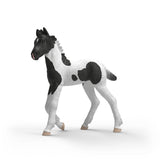 Schleich Horse Club Sammelfohlen Rocky 81481