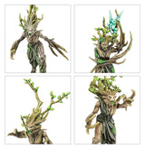 Warhammer Aos - Battleforce Noel 2025 Sylvaneth : Fielbosquet De Parias