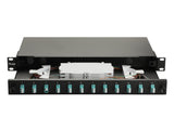 Equip Lwl-Spleisskamen 12-Port Lc-Duplex Om3 1u Komplett Sw
