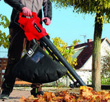 Aspirador De Hojas Gc-El 3024 E 3000w Einhell