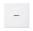 EAN 4011395190272 - Busch-Jaeger 1731-0-2009 placa de pared y cubierta de interruptor Blanco imagen 1