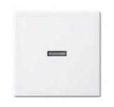 EAN 4011395190272 - Busch-Jaeger 1731-0-2009 placa de pared y cubierta de interruptor Blanco imagen 1