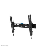Soporte De Pared Para 40-82" 70kg Wl35s-850bl16 Neomounts