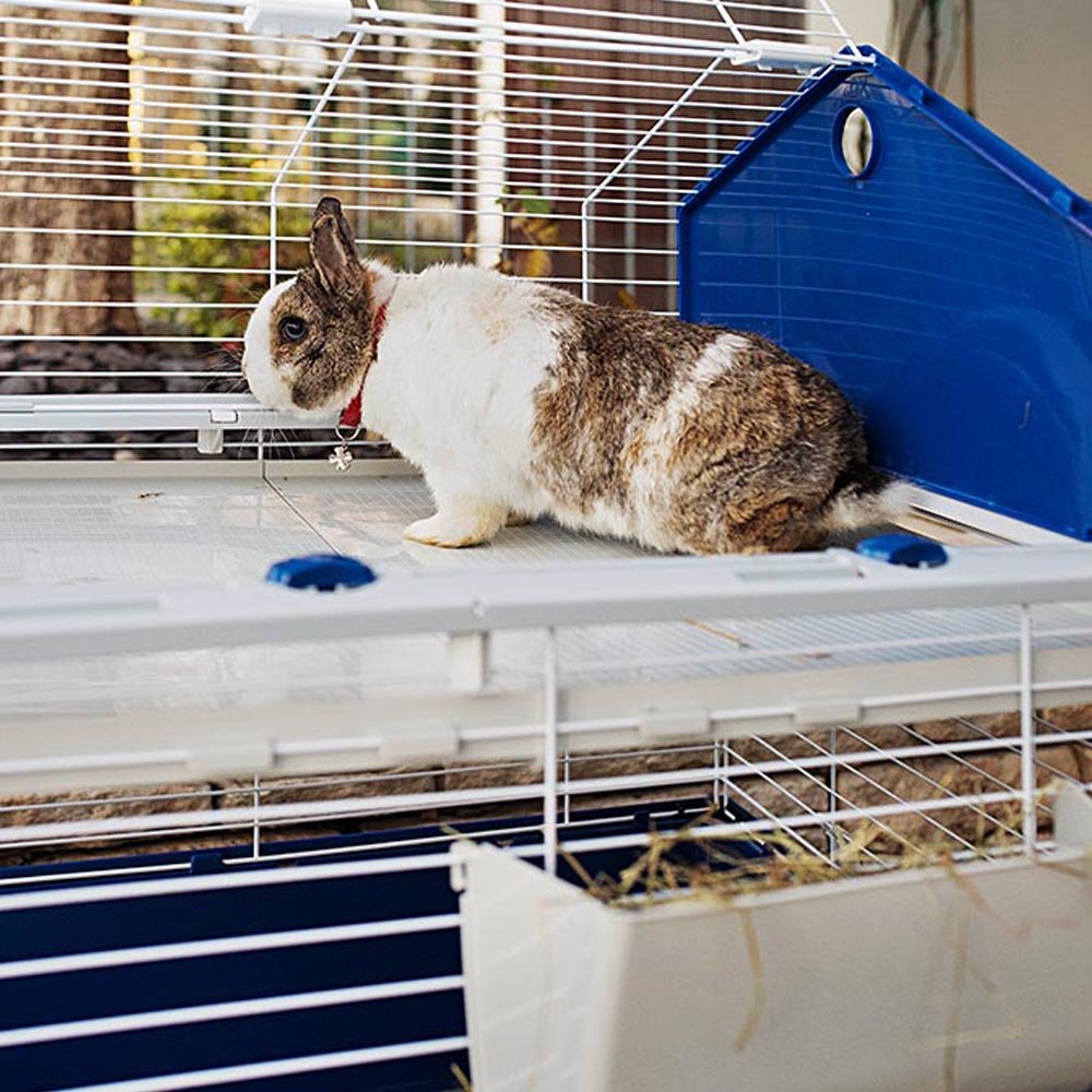 EAN 8010690172521 - Ferplast Barn 120 Rabit Gris imagen 3