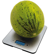 Báscula De Cocina Electrónica Jata Hogar Bas 719 Hasta 15kg Plata