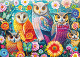 Schmidt Juegos Eulen Y Blumen 1000 Piezas) 58058