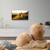 Televisor 24´´ Thomson 24hd2s13 Hd 1366x768