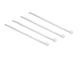 Delock 18606 Presilla Nylon Transparente 100 Pieza(S)