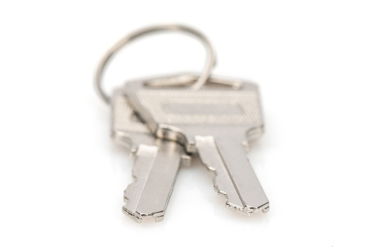 EAN 4016032487326 - Digitus DN-45000-KEY accesorio de bastidor Llave de cierre imagen 2